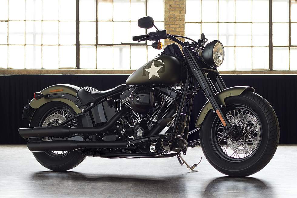 Harley Davidson FLS Slim S 2016 запчасти