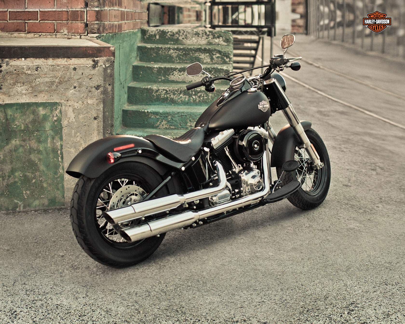 Harley Davidson FLS Slim 2013 запчасти
