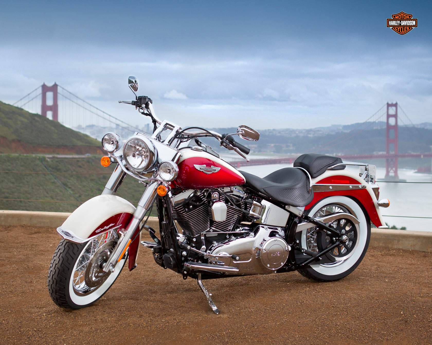 Harley Davidson FLSTN Softail Deluxe 2013 запчасти