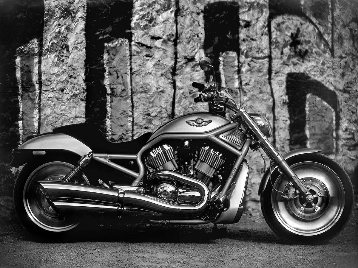 Harley Davidson VRSCA V-Rod 100th Anniversary 2003 запчасти