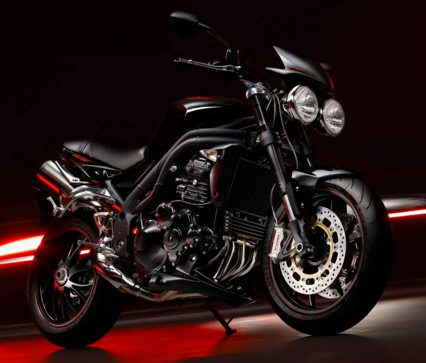 TRIUMPH Speed Triple 15th Anniversary Edition 2009 запчасти