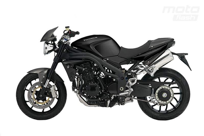 TRIUMPH Speed Triple Carbon Limited Edition 2009 запчасти
