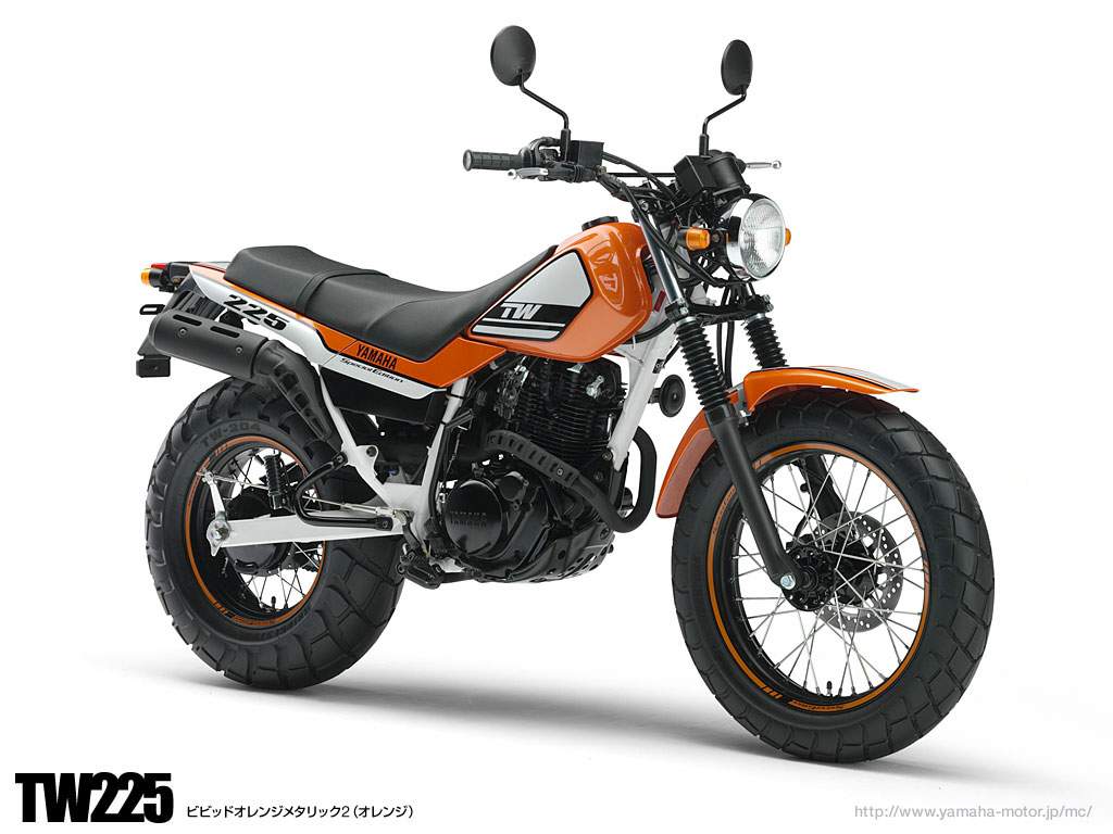 Yamaha TW 225E Anniversary Special Edition 2007 запчасти