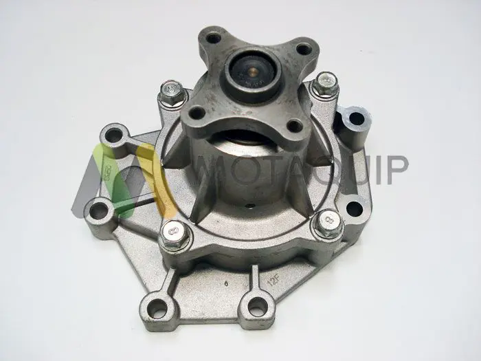 LVWP979 