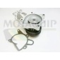 MOTAQUIP VWP826