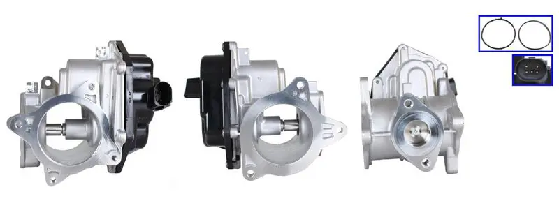 EG00266 