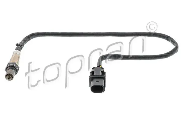 625 019 Oxygen Sensor