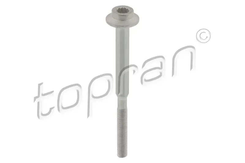 120 666 Screw, injection nozzle holder