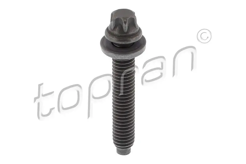 Topran (Hans Pries) 504538 Screw