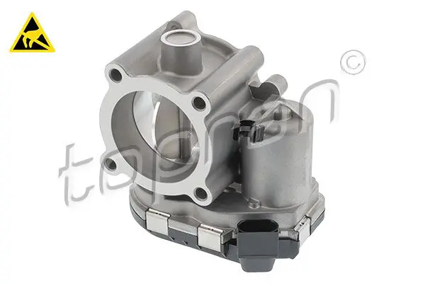 409 925 Throttle Body