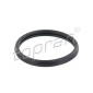 Topran (Hans Pries) 302262