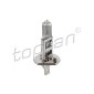 109100 Bulb, spotlight
