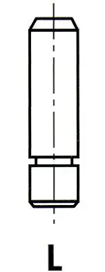 VG082100 