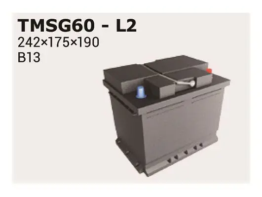 TMSG60 