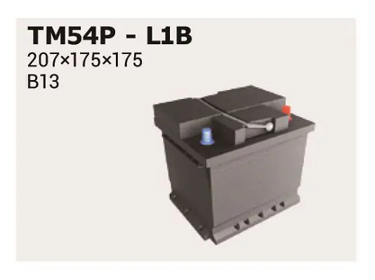 TM54P 