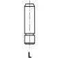 VG004000 