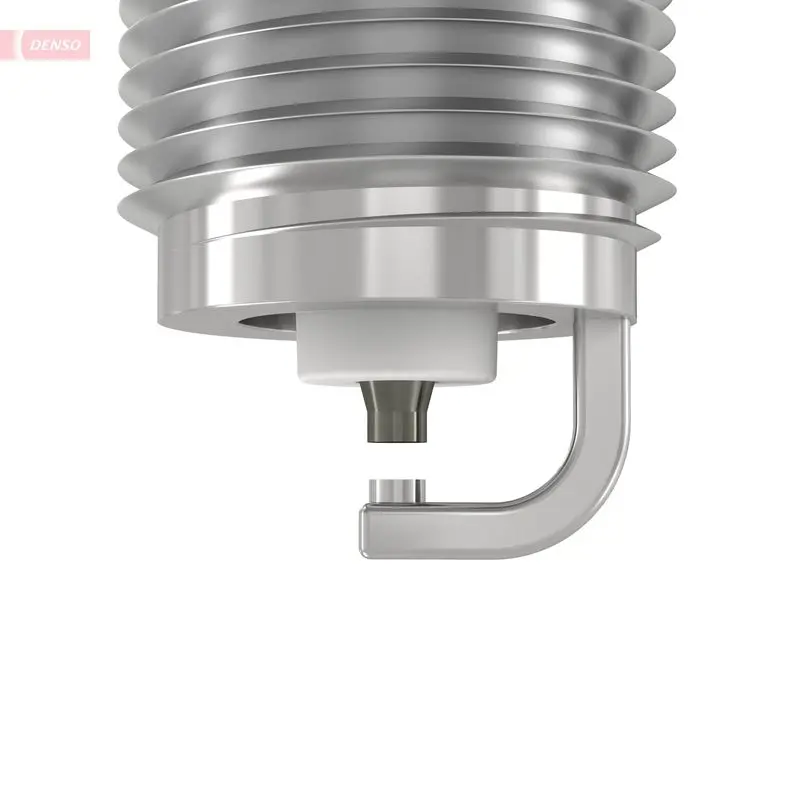 WG1461606 