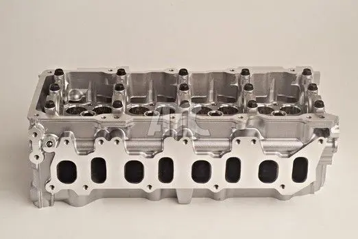 WG1011004 