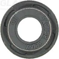 WG1004718 