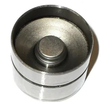 WG1156389 