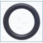 WG2081464 