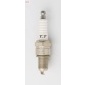 WILMINK GROUP WG1462083