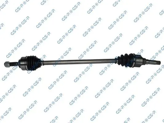 GSP 210259 Вал