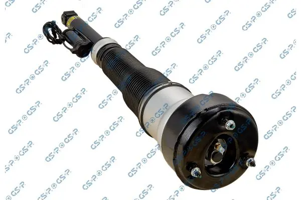 30900342 Air Suspension Strut