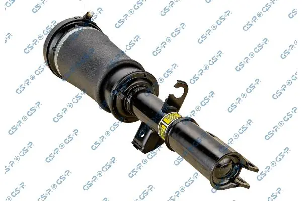 30900151 Air Suspension Strut