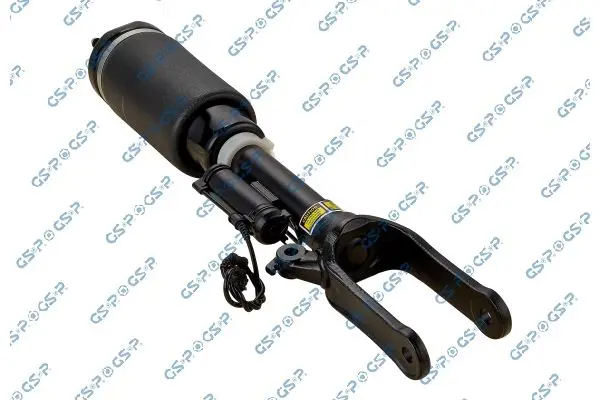 30900280 Air Suspension Strut