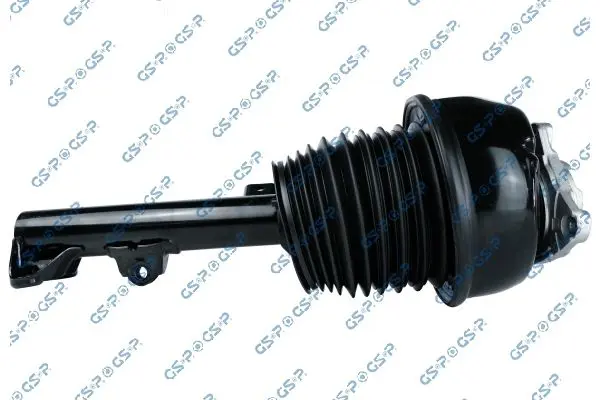 30900372 Air Suspension Strut