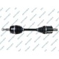 GSP 203293OL