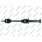 GSP 203261OL