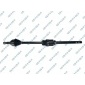 GSP 250554