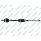 GSP 259518OL