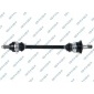 GSP 205066OL