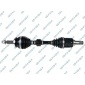 GSP 259622OL
