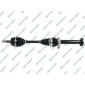 GSP 203361OL