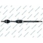 GSP 218409OL