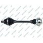 GSP 261281OL