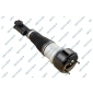 30900332 Air Suspension Strut