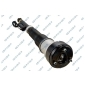30900342 Air Suspension Strut