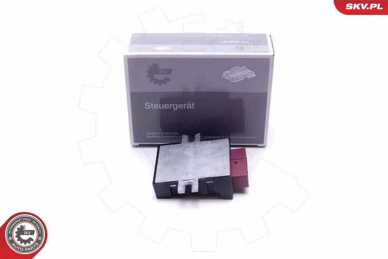 ESEN SKV 96SKV211 Управляющий прибор, топливный