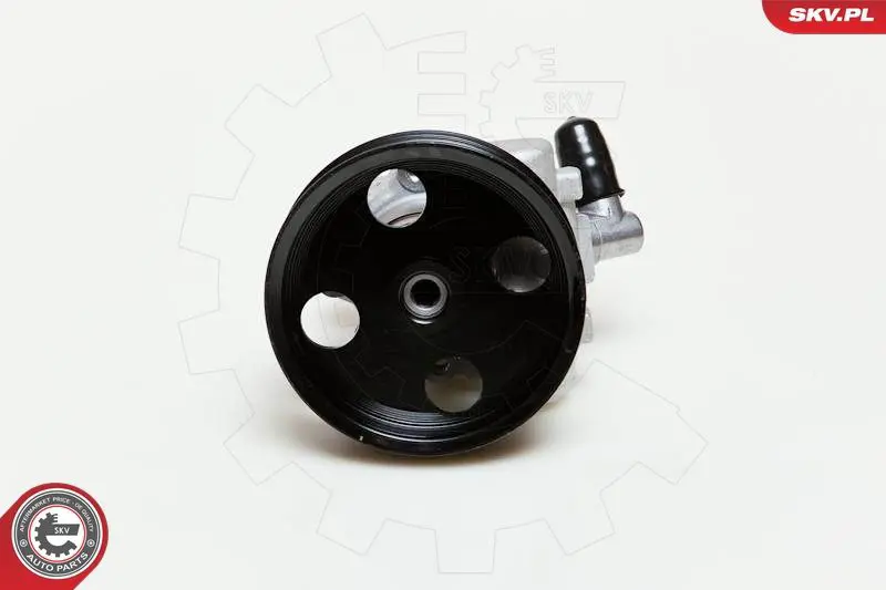 ESEN SKV 10SKV039 Гидравлический насос, рулевое