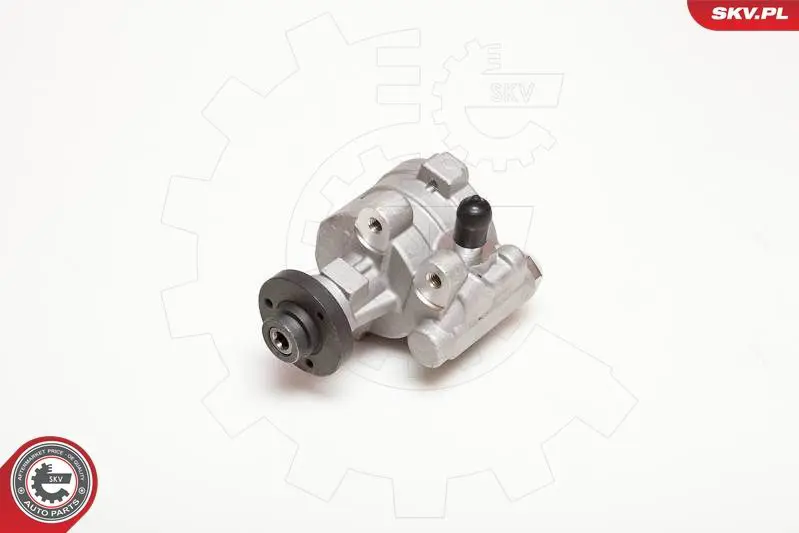 ESEN SKV 10SKV054 Гидравлический насос, рулевое