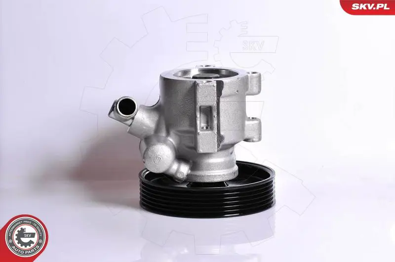 ESEN SKV 10SKV138 Гидравлический насос, рулевое