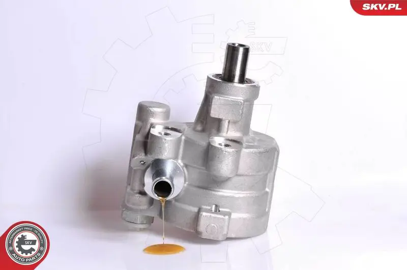 10SKV180 