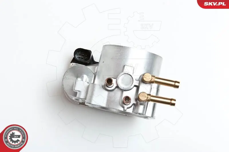 ESEN SKV 12SKV012 Корпус дроссельной заслонки