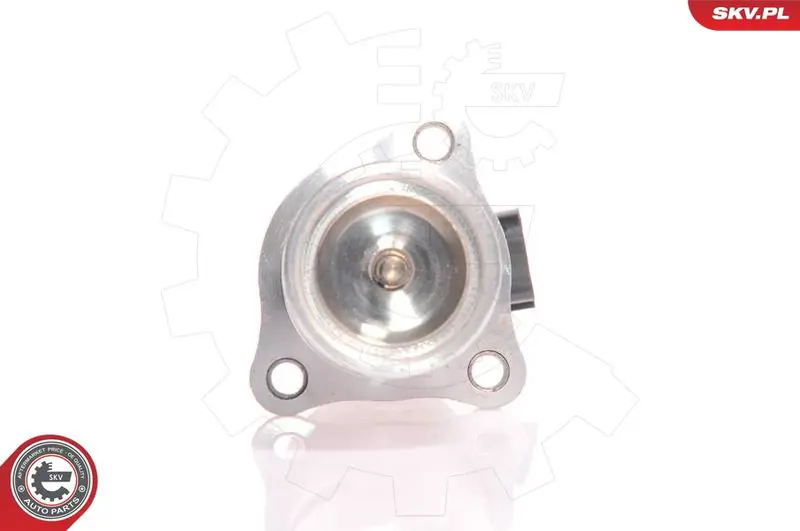 ESEN SKV 14SKV010 Клапан возврата ОГ