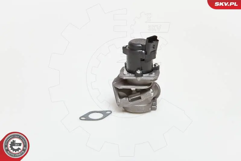ESEN SKV 14SKV027 Клапан возврата ОГ